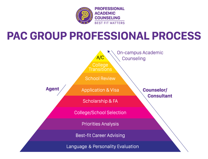 Quy trình tư vấn của PAC Group